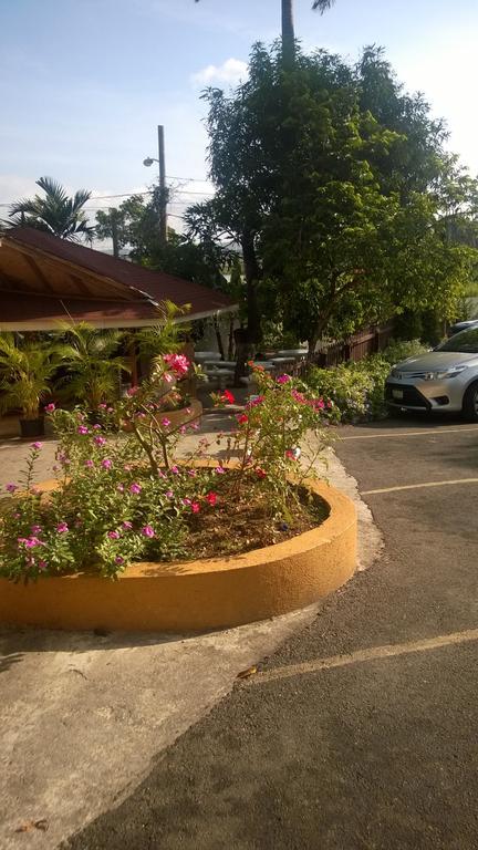 Palm Bay Guest House & Restaurant Montego Bay Zewnętrze zdjęcie